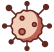 Kidney