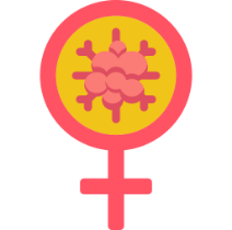Kidney