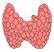 Kidney